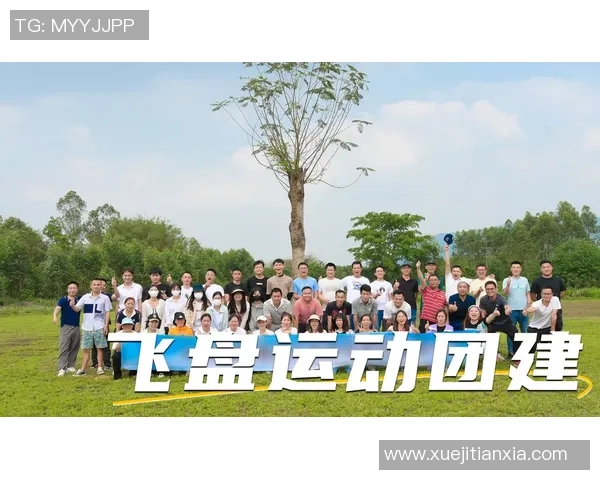 赛后分析：北京飞盘队与深圳飞盘队的战术意识与团队协作探讨